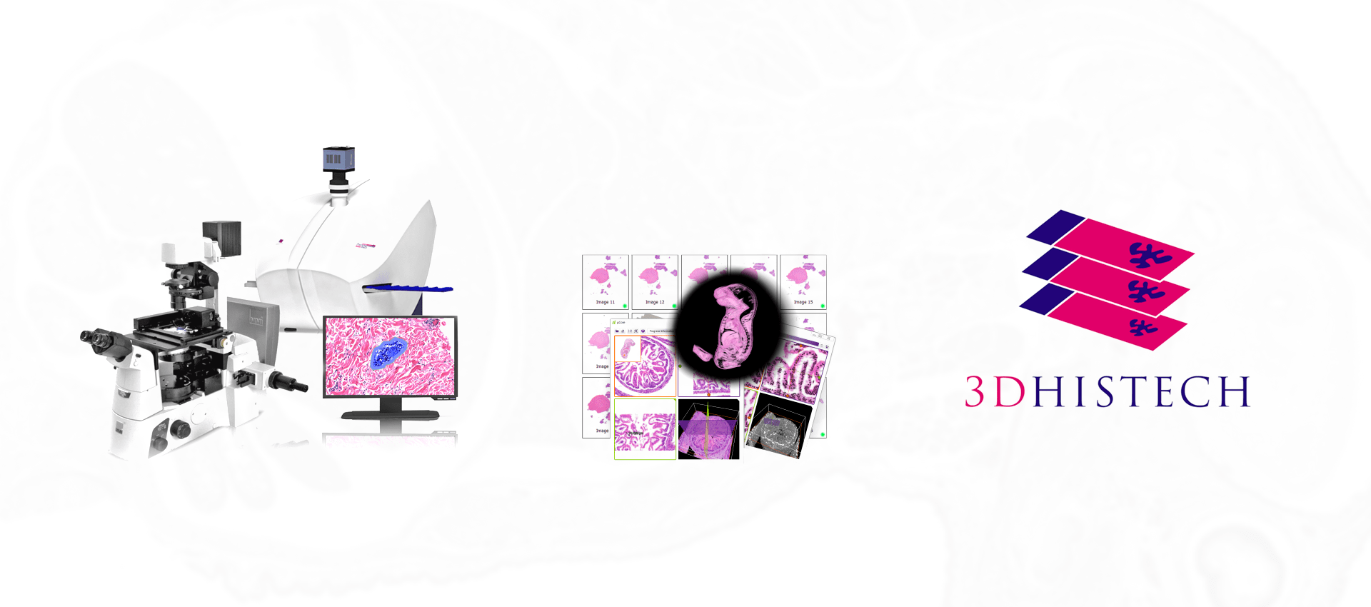 3dhistech-diamedica-min