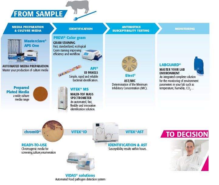 schema vet
