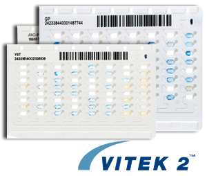 vitek 2 cards 1